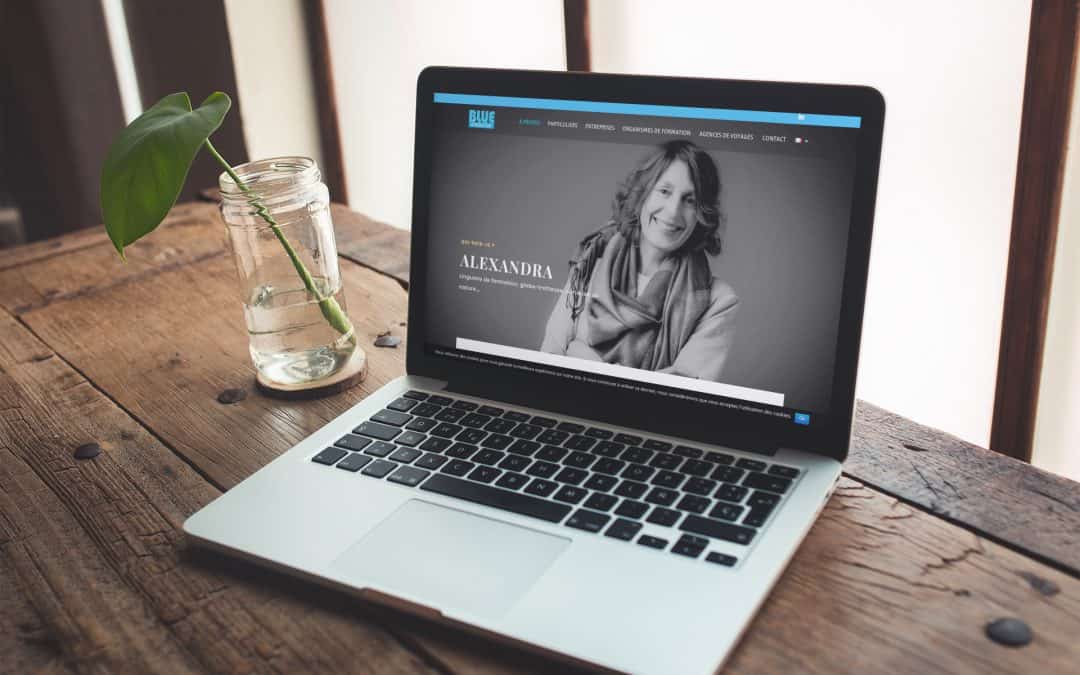 BlueTraduction : Formation Créer son site vitrine (Niv1)